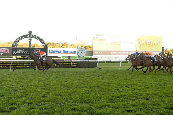 Pleasing results for kiwi contingent in Australia