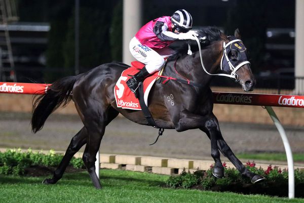Caulfield Guineas aim for Tavistock colt