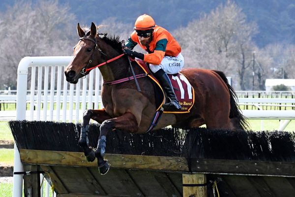 Trisha Lea thriving over hurdles