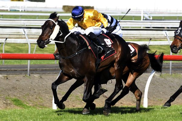 Vernanme takes Pukekohe feature