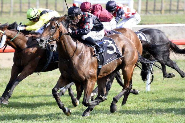 Shannon Stakes for Volpe Veloce