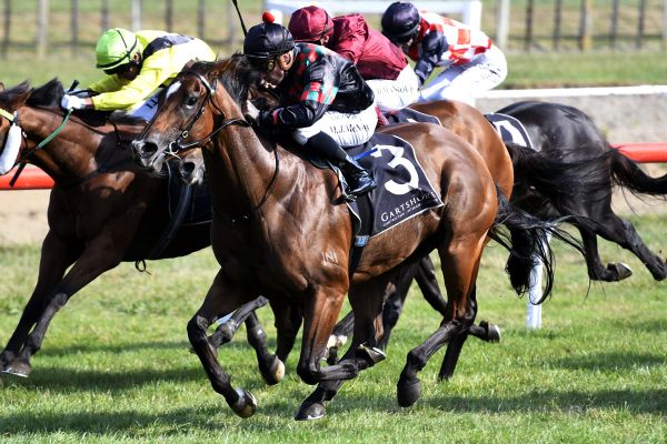 Volpe Veloce primed for Theo Marks