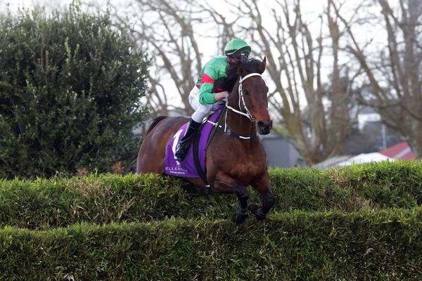 Wise Men Say takes second victory in Ellerslie’s great race