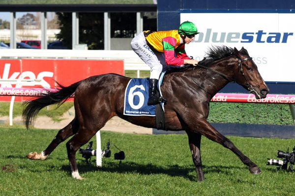 Age of Chivalry Ready to Run in Toorak