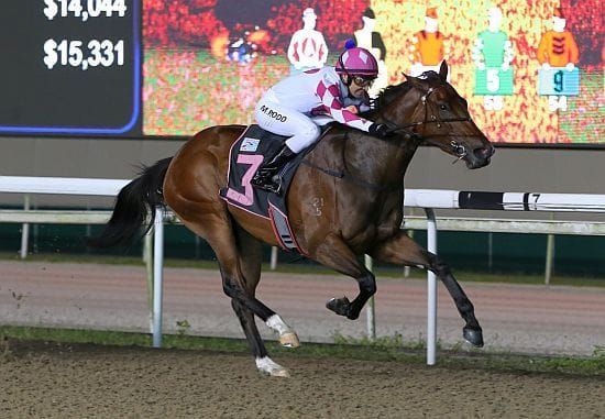 Lady luck smiles on Ararat again