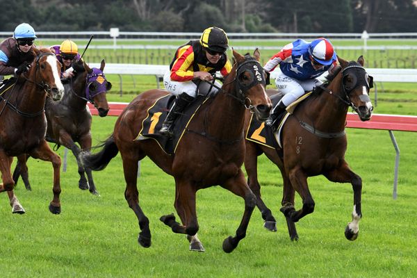Broodmare paddock beckons Art Deco