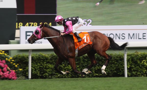 Beauty Generation thrives ahead of Sunday’s test