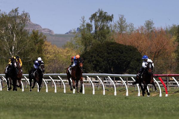 Scintillating Guineas win for Catalyst
