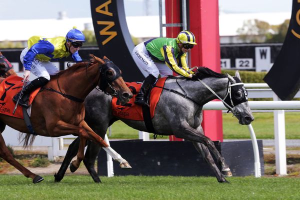 Chiaretta breaks maidens at Te Rapa