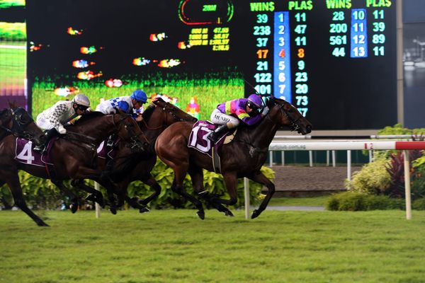 QEII Cup run puts Count into Gold Cup calculations