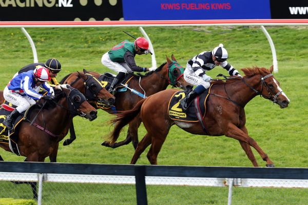 Dawn Patrol back to his best at Rotorua