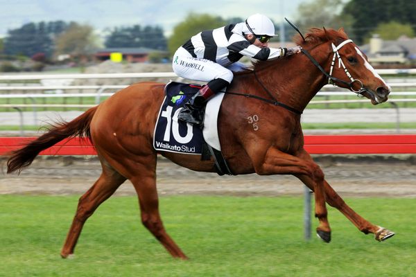 Feature targets for Ritchie pair