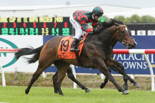 Derby prospect scores on debut at Te Rapa