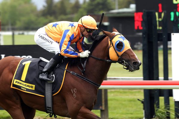 Equinox eclipses Rotorua rivals