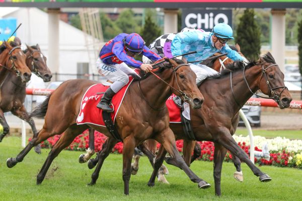 Fascino dead heats in Fillies Classic