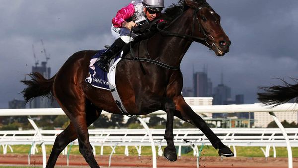 Surprise Baby set for latest Cup entry bid