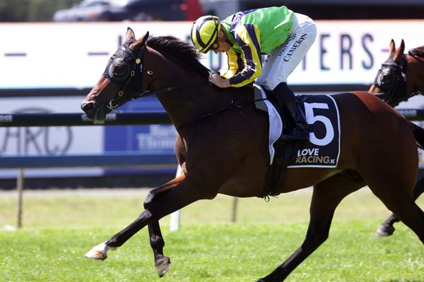 Gundown lands Moe Cup