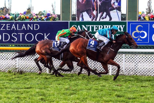 Cup week spoils lure Ridley pair