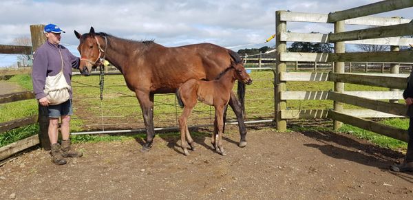 A Tribute to Hot ‘N’ Moss: by Lenny Russo