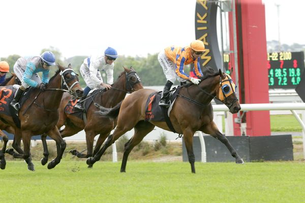 Te Rapa triumph for In A Twinkling