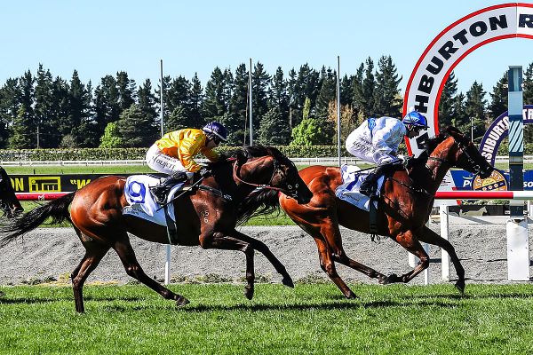 Cambridge filly too strong in Ashburton feature