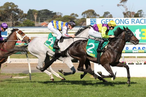 Long Jack gets Derby shot with Geelong win