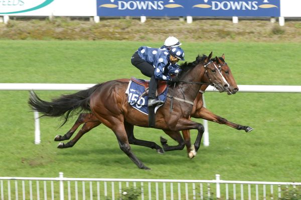 Ready To Run Sale set to begin