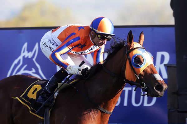 Super Saturday looming for Te Akau
