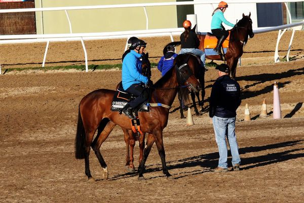 Flemington focus for Miami Bound