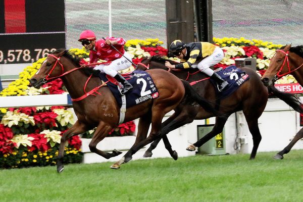 December warrior Mr Stunning seeks a LONGINES Hong Kong Sprint hat-trick