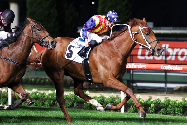 Hansen eyes Everest-World Cup double