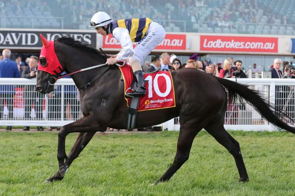 Chris Waller well represented in Cantala