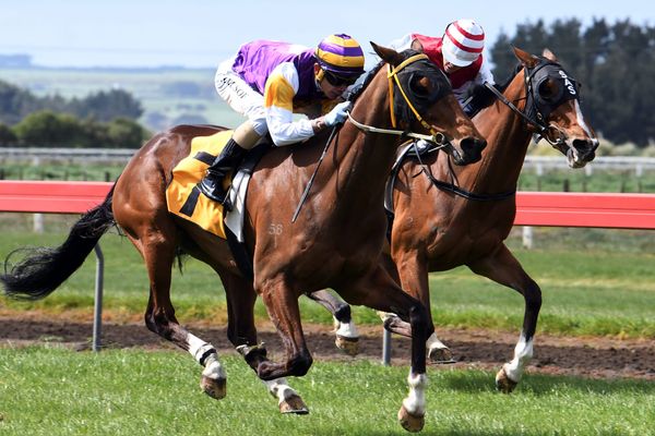Nicholson eyes second Egmont Cup win
