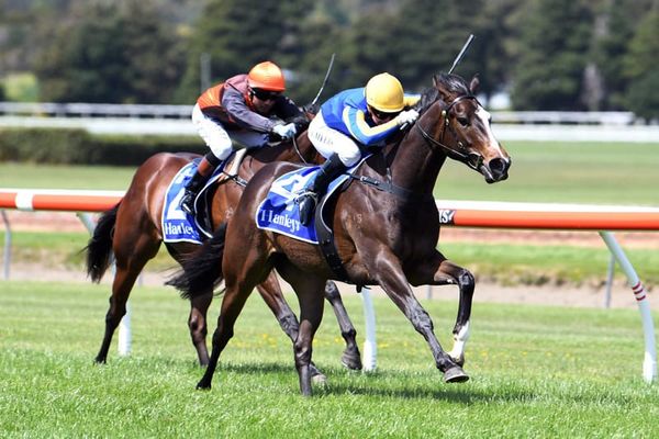Northern filly plays winning tune at Trentham