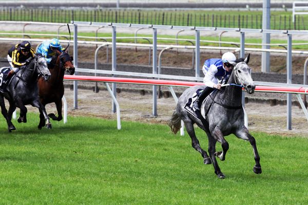 Polly Grey – the gift that keeps giving