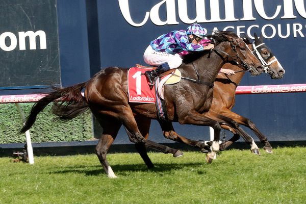 Sydney preference for Princess Jenni