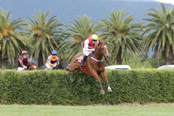 Rising star steeplechaser lands season-ending feature