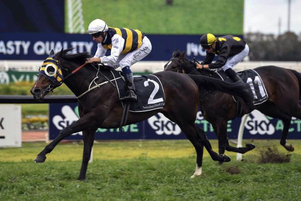Forsman welcomes rain in Sydney
