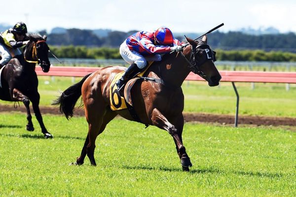 Red Sierra storms to Egmont Cup victory