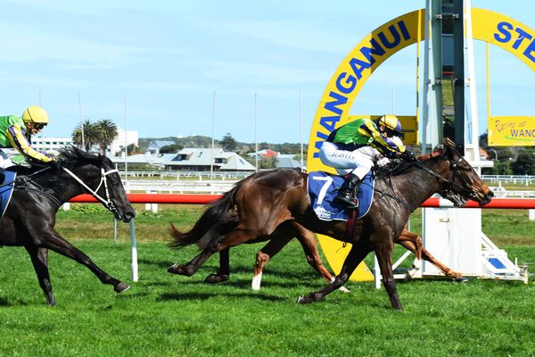 Hastings trainers seek Guineas redemption