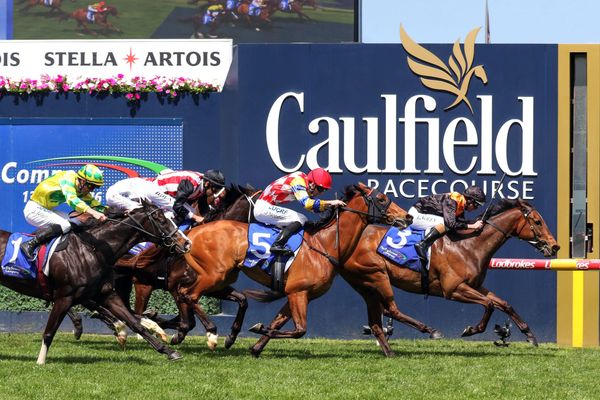 Rox The Castle wins Weekend Hussler Stakes
