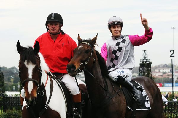 Childs counting down to Baby’s Cup bid