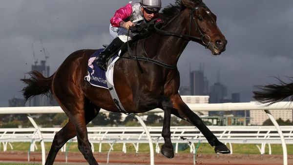 Surprise Baby favourite to earn Cup berth