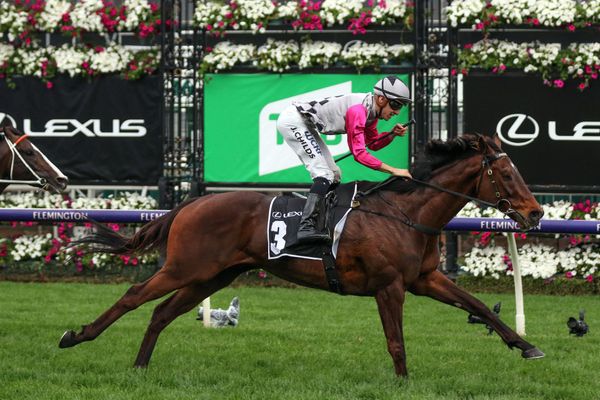 Surprise Baby books spot in Melbourne Cup