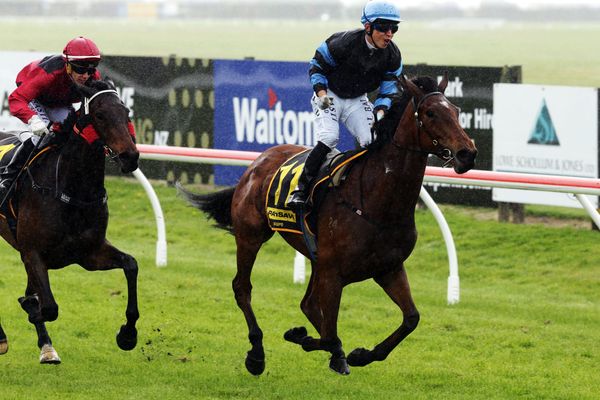 Rotorua victory a sweet treat for Kam