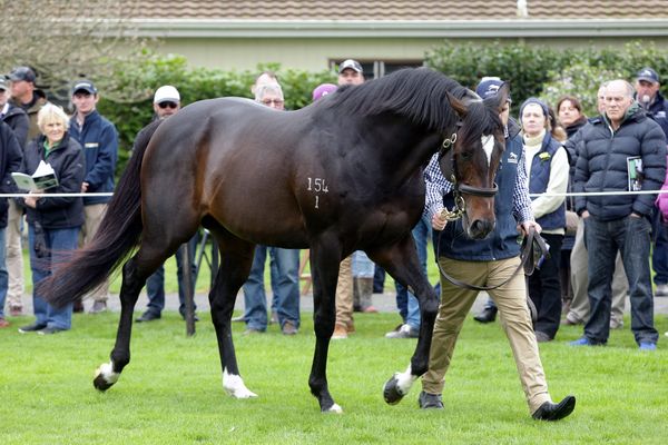 Novara Park announce service fees