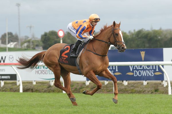 Te Akau Shark draws wide in Epsom