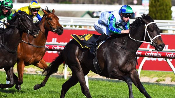 Acting text spurs Williams in 1000 Guineas