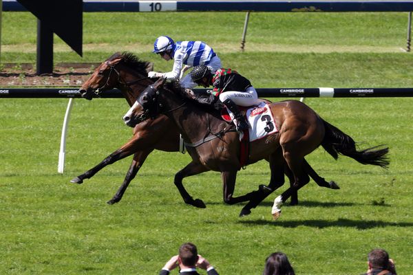 A day of contrasts for Richardson at Ellerslie