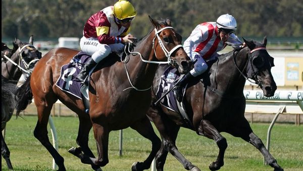Top Of The Range wins Group 3 Bendigo Cup
